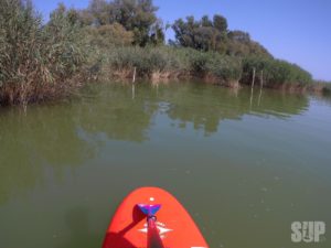 SUP-olás a Balatonon.